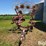 lely-srp10-10-wheel-rake-image-2