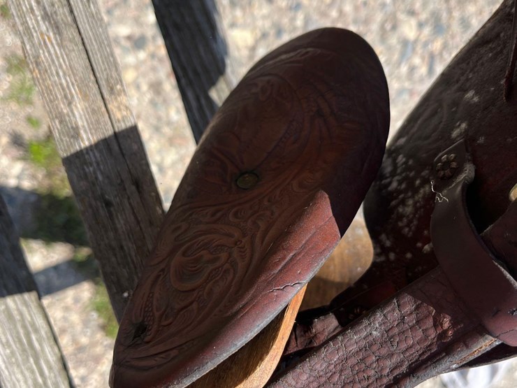 youth-saddle-image-7