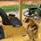 caterpillar-825-image-14