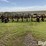 krause-4608-r3-image-2