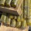 landhero-excavator-universal-bucket-pin-image-3