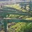 #134-•-5-strand-transfer-deck-image-11