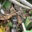 john-deere-6950-image-11