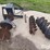 lowe-1650clh-skid-steer-hydraulic-post-hole-digger-image-6