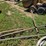 flexi-coil-g1110.b0-m04696-air-seed/caddy-image-10