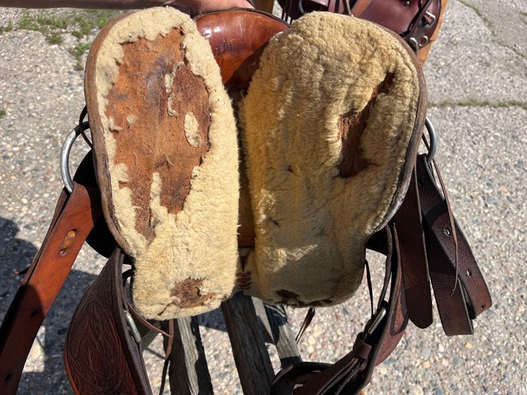 youth-saddle-image-6