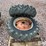 allis-chalmers-c-image-4