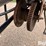 peck-802-image-19