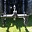 1996-case-ih-7220-image-12