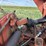 rowse-d9-image-17