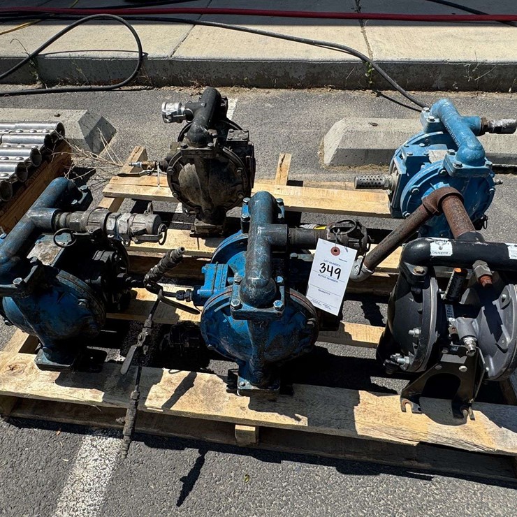 Dual Diapham Air Operated Pumps