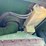 john-deere-6950-image-48