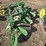 john-deere-416-image-9