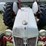 ford-9n-image-14