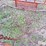 hay-monster-bale-feeder-image-9