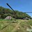 west-pt-design-shade-all-livestock-shade-image-4