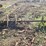 #136-•-log-deck-shaft-image-1