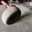 international-1066-image-9