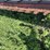 case-ih-8220-image-19
