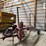 rowse-d9-image-1