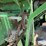 1968-john-deere-95-image-17