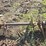 #136-•-log-deck-shaft-image-11