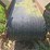 #141-•-belt-conveyor-image-7