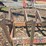 #201-•-bucksaw-and-bunk-image-29