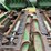 john-deere-1290-image-18