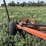 rowse-d9-image-8