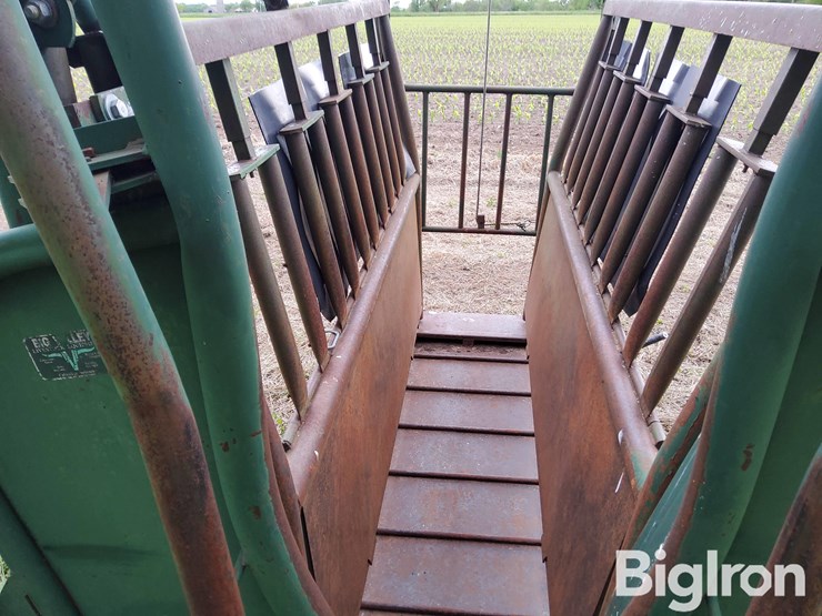 big-valley-6011-head-squeeze/cattle-chute-image-16