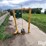tarter-wire-fence-stretcher/unroller-image-8