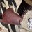 youth-saddle-image-8