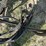 2009-john-deere-db80-image-29