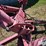 lely-srp10-10-wheel-rake-image-11