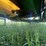 summers-mfg-ultimate-nt-image-25