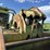 terex-ts14b-image-21