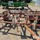 wil-rich-23'-field-cultivator-w/-3-bar-tined-harrow-image-15