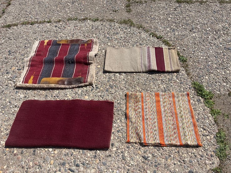horse-blankets-image-2