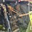 2016-case-ih-maxxum-150-image-20