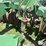john-deere-510-image-14