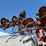 case-ih-2800-image-14