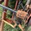 rowse-d9-image-13