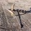 post-hole-auger-image-1