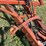 krause-4330-image-10