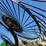 lely-srp10-10-wheel-rake-image-18