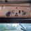1979-international-transtar-4300-image-31