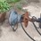 lowe-1650clh-skid-steer-hydraulic-post-hole-digger-image-13