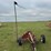 case-ih-1300-image-2