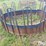 bale-feeder-image-1